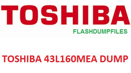 TOSHIBA 43L160MEA