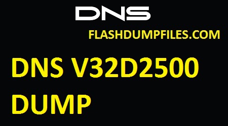 DNS V32D2500
