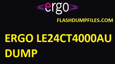 ERGO LE24CT4000AU